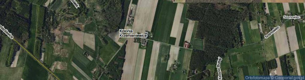 Zdjęcie satelitarne Kolonia Krzemieniewice ul.